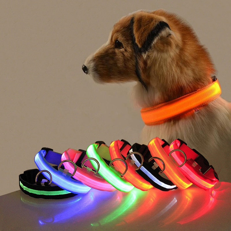 Luminous led night time collar usb rechargeable or battery operated.