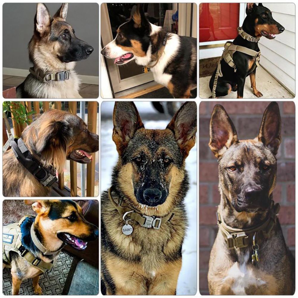 Tactical Military Style Adjustable Dog Collar Durable Nylon