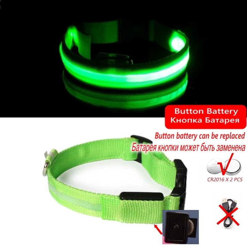 Luminous led night time collar usb rechargeable or battery operated.