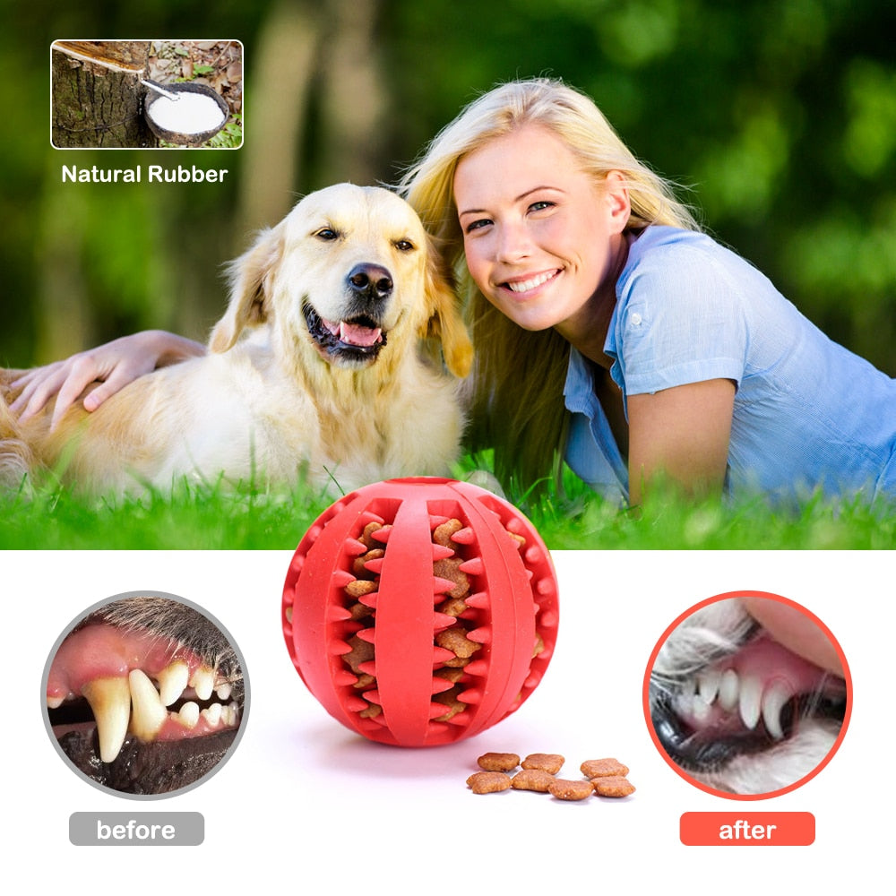 Treat Dispensing Dog Ball