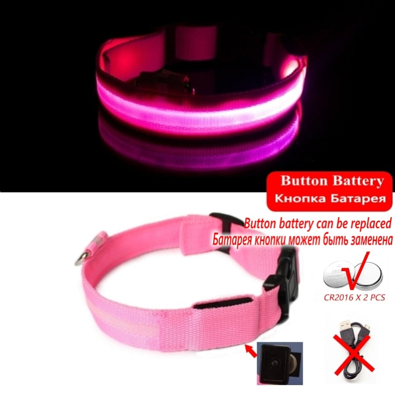 Luminous led night time collar usb rechargeable or battery operated.