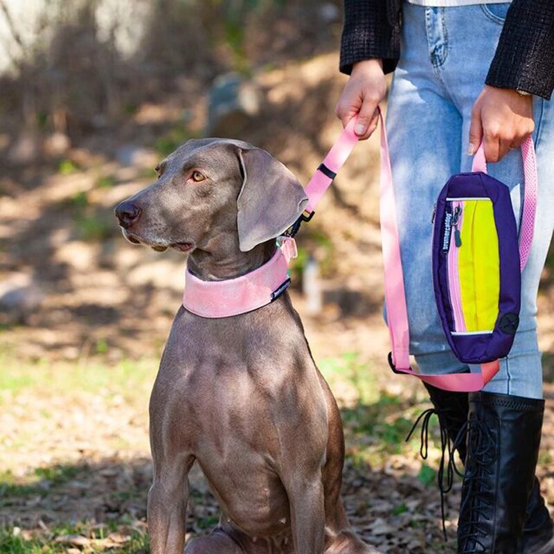 4.5cm Wide Adjustable Breathable Padded Nylon Dog Collar