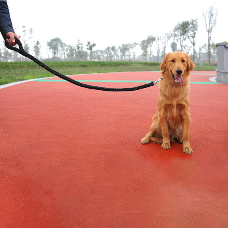 Braided Nylon Dog Leash For Medium To Large Dogs