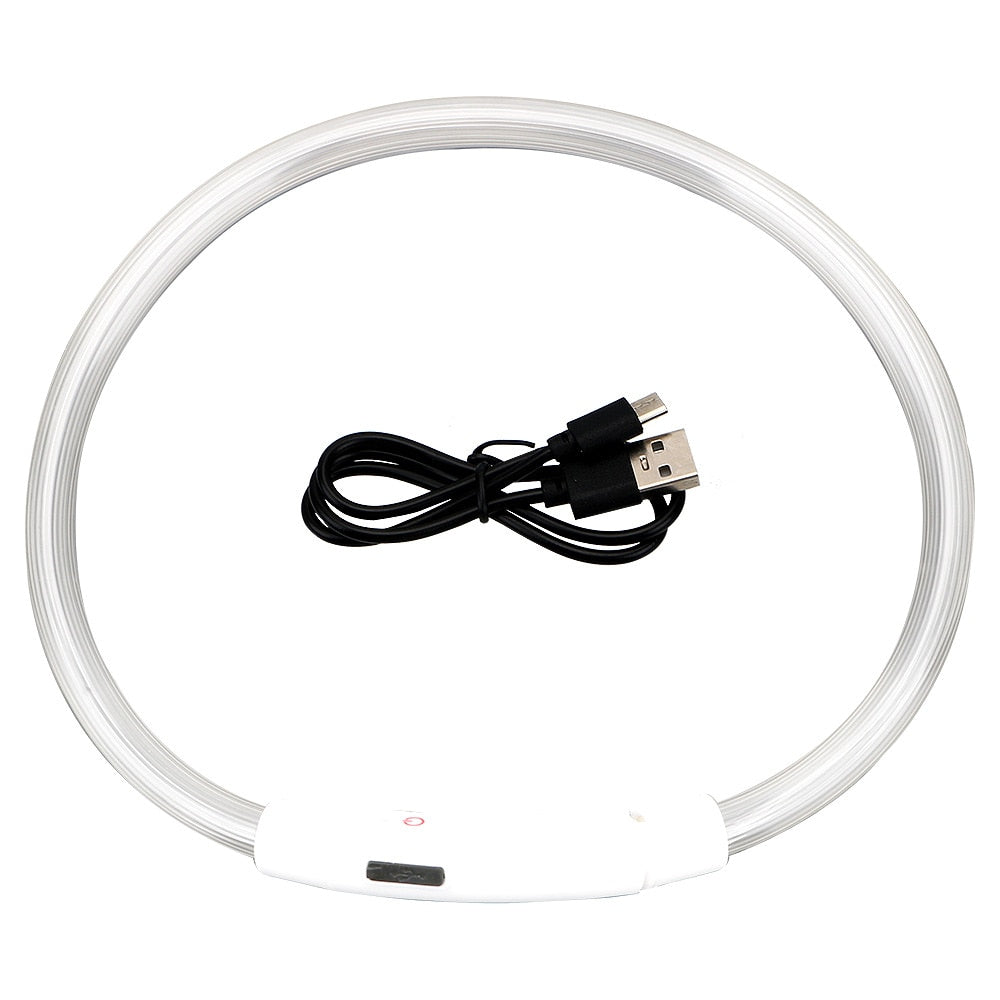 One size fits all rechargeable LED collar