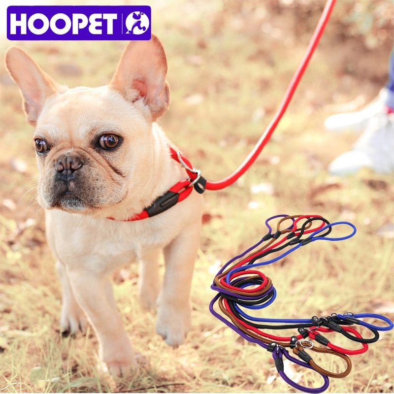 collar and lead two in one made from nylon rope with leather buckle.
