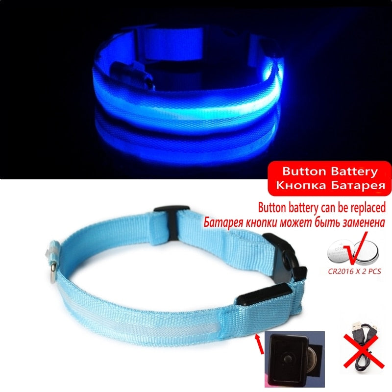 Luminous led night time collar usb rechargeable or battery operated.