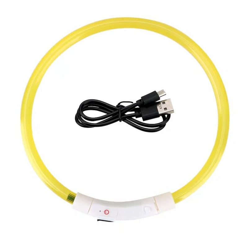 One size fits all rechargeable LED collar