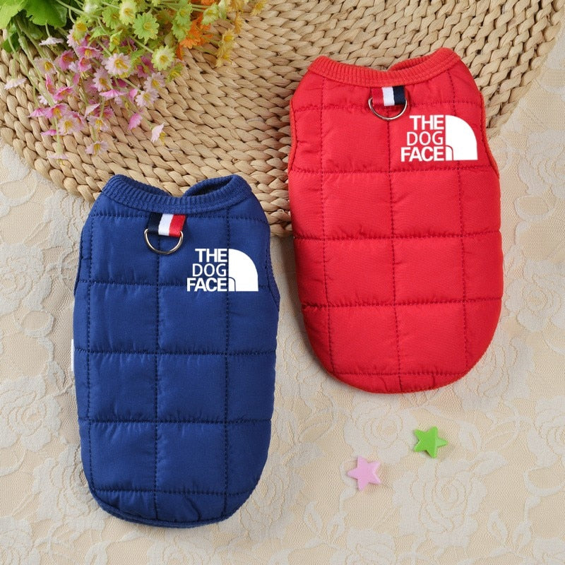 The dog face small dog body warmer