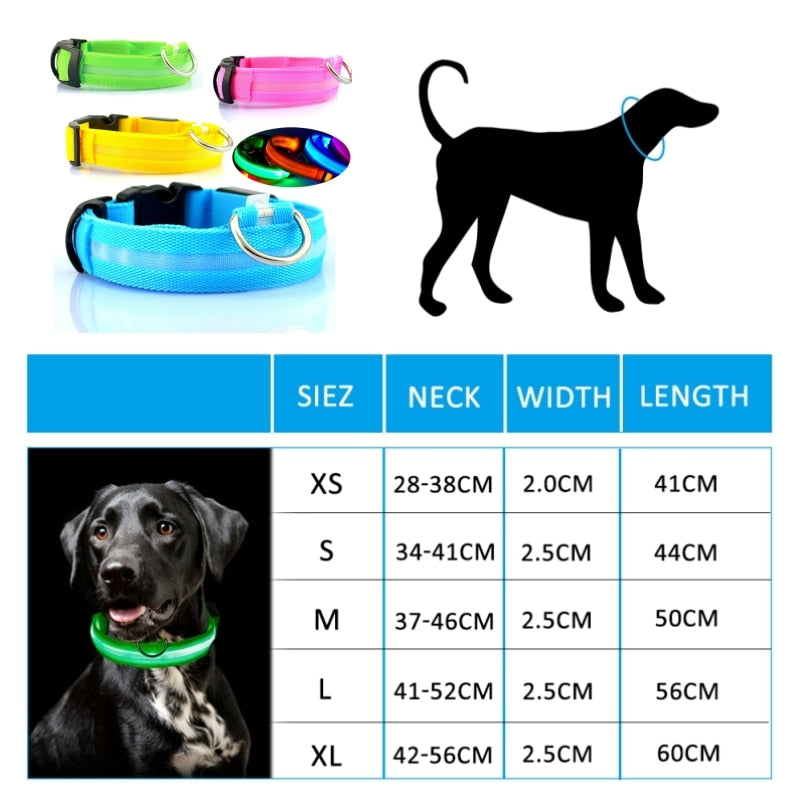 Luminous led night time collar usb rechargeable or battery operated.