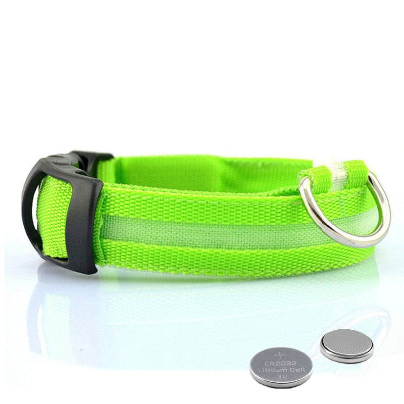 Luminous led night time collar usb rechargeable or battery operated.