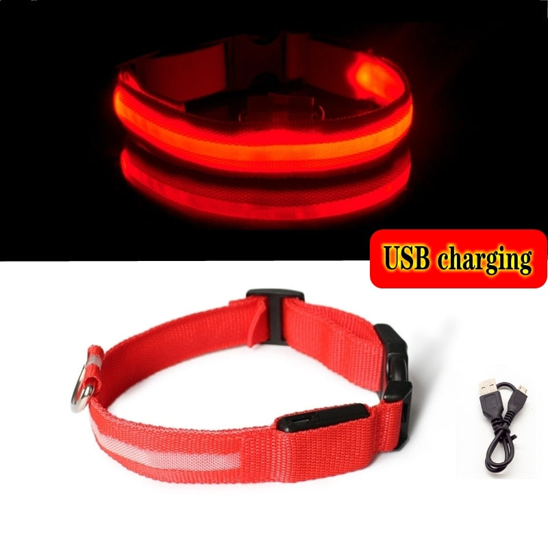 Luminous led night time collar usb rechargeable or battery operated.