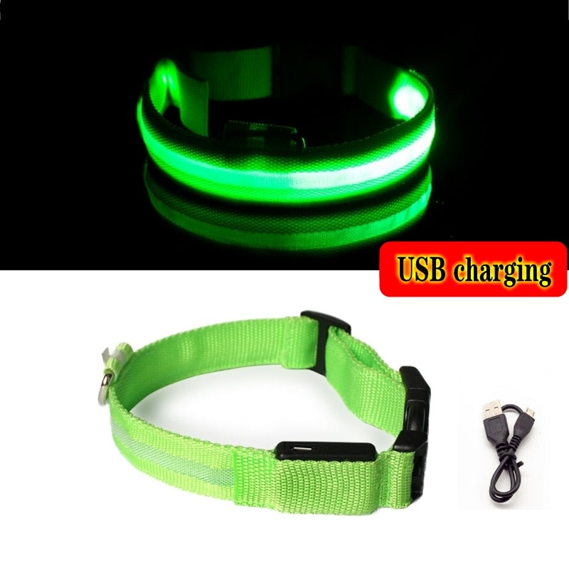 Luminous led night time collar usb rechargeable or battery operated.