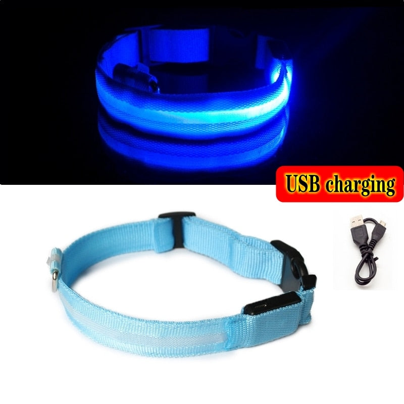 Luminous led night time collar usb rechargeable or battery operated.