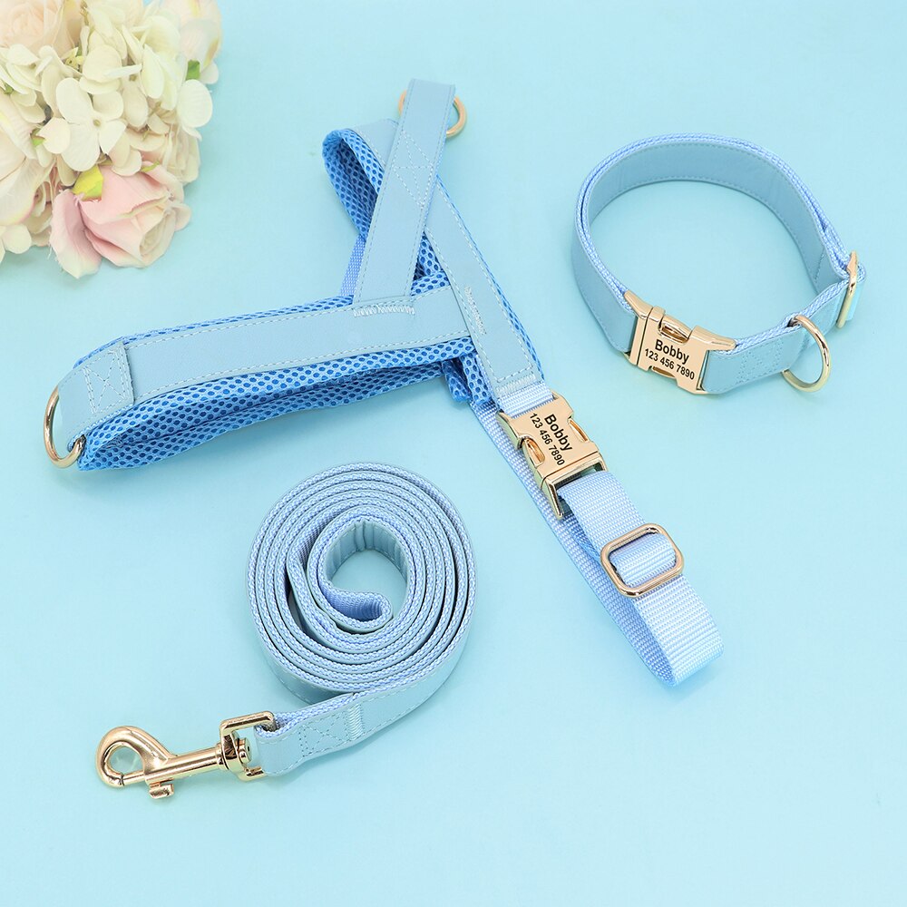 No pull harness and collar set