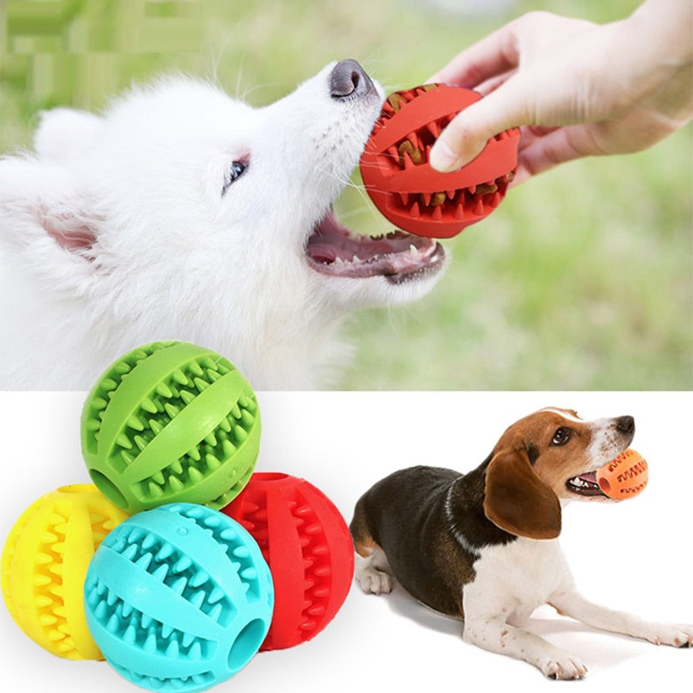 Treat Dispensing Dog Ball