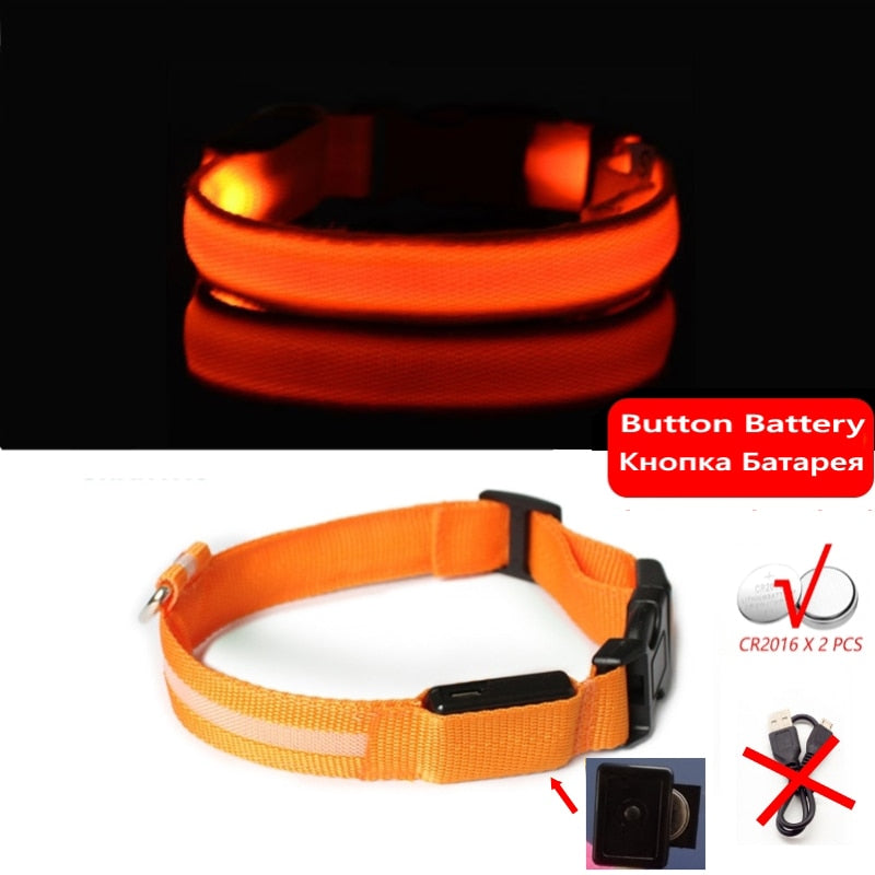 Luminous led night time collar usb rechargeable or battery operated.