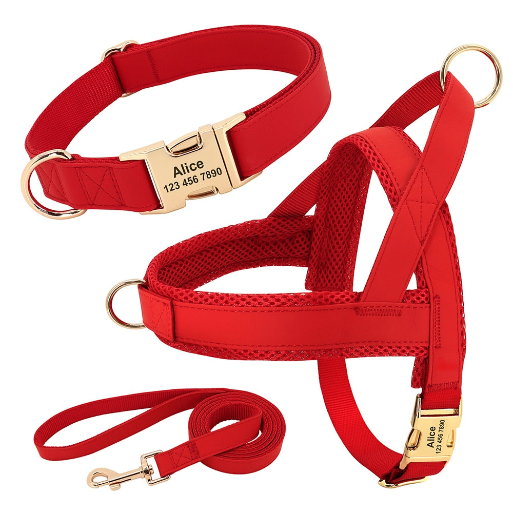 No pull harness and collar set