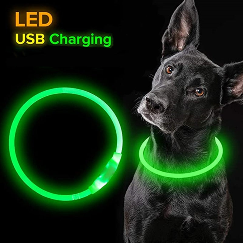 One size fits all rechargeable LED collar