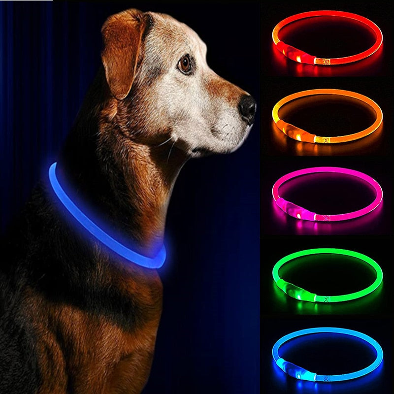 One size fits all rechargeable LED collar