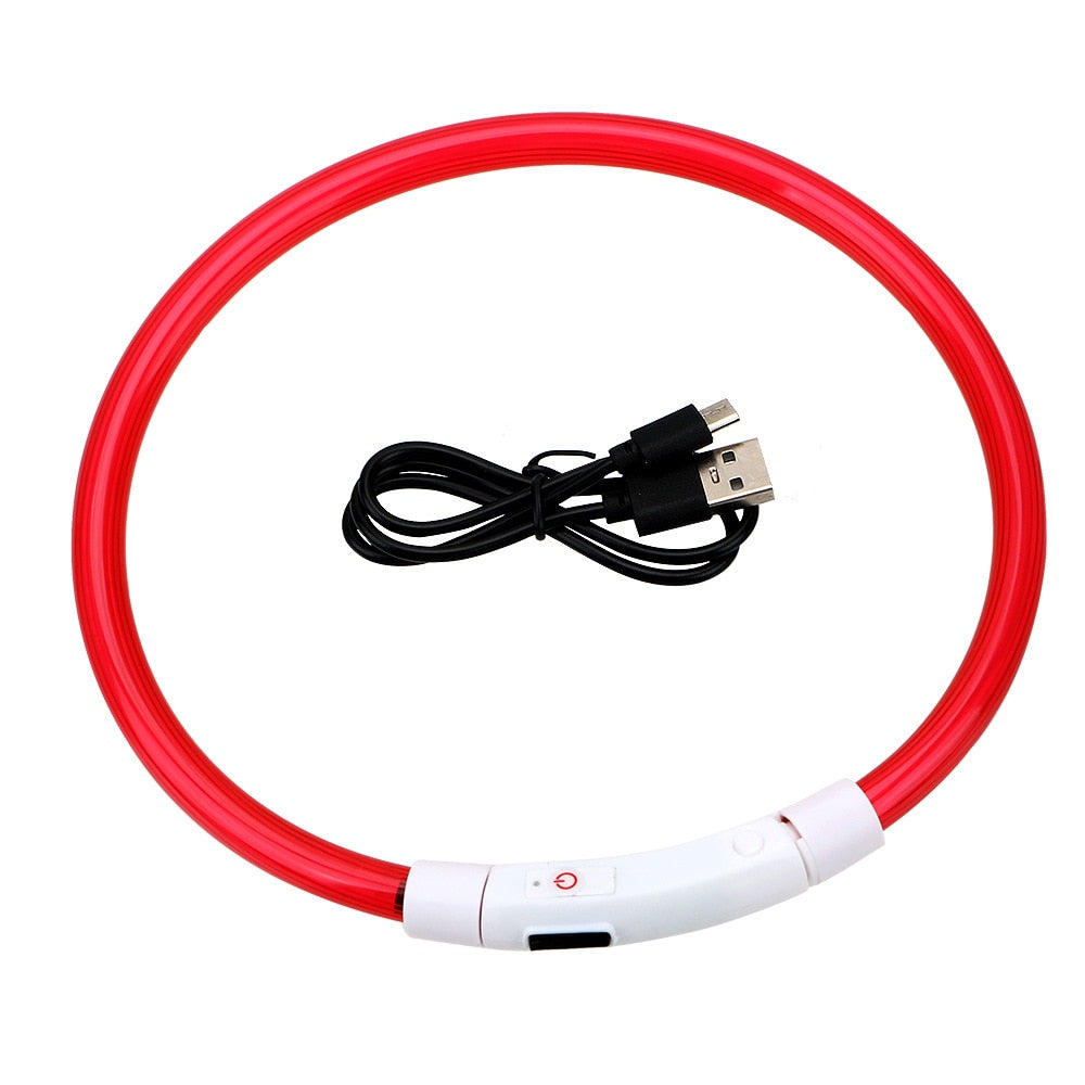 One size fits all rechargeable LED collar