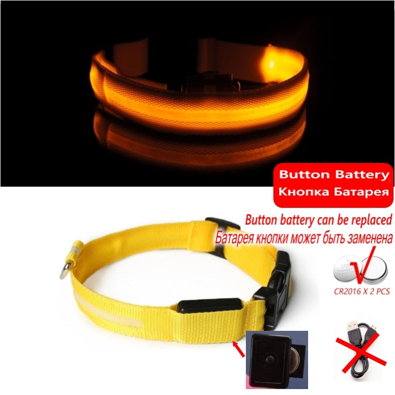 Luminous led night time collar usb rechargeable or battery operated.