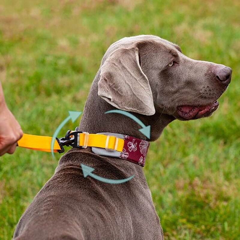 4.5cm Wide Adjustable Breathable Padded Nylon Dog Collar
