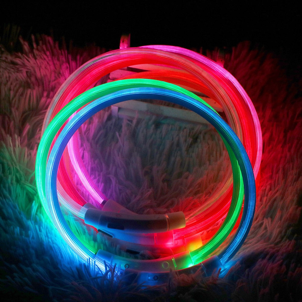 One size fits all rechargeable LED collar