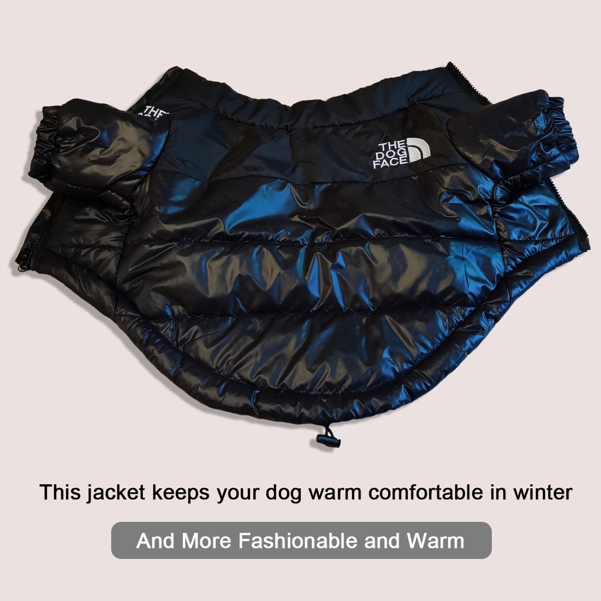 The dog face coat
