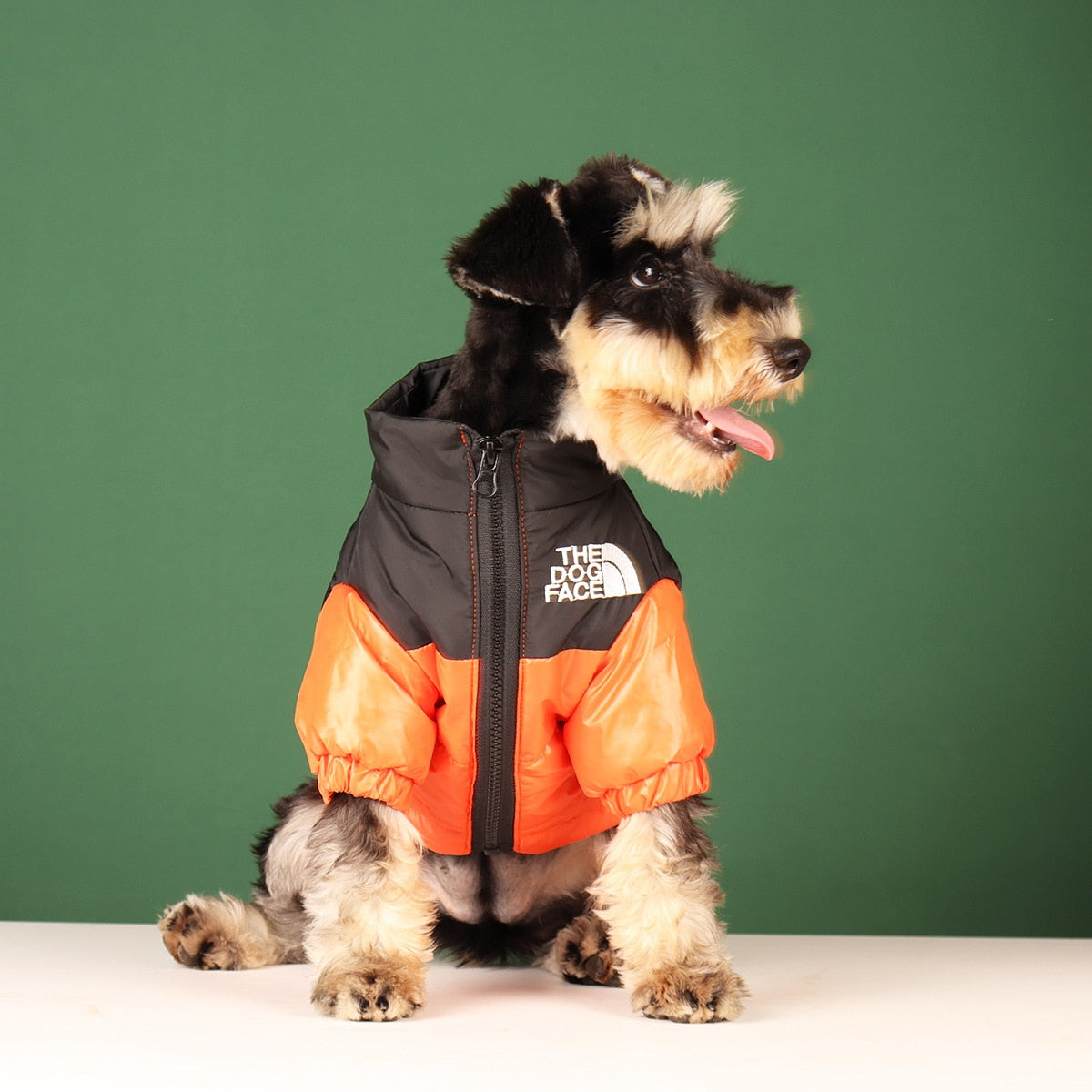 The dog face coat