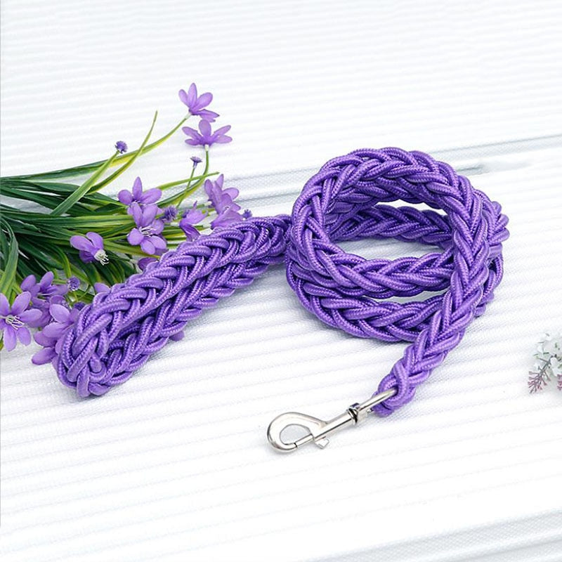 Braided Nylon Dog Leash For Medium To Large Dogs