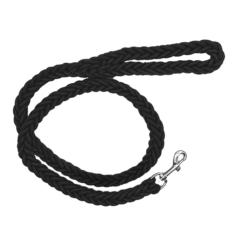 Braided Nylon Dog Leash For Medium To Large Dogs