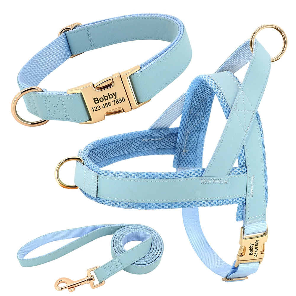 No pull harness and collar set
