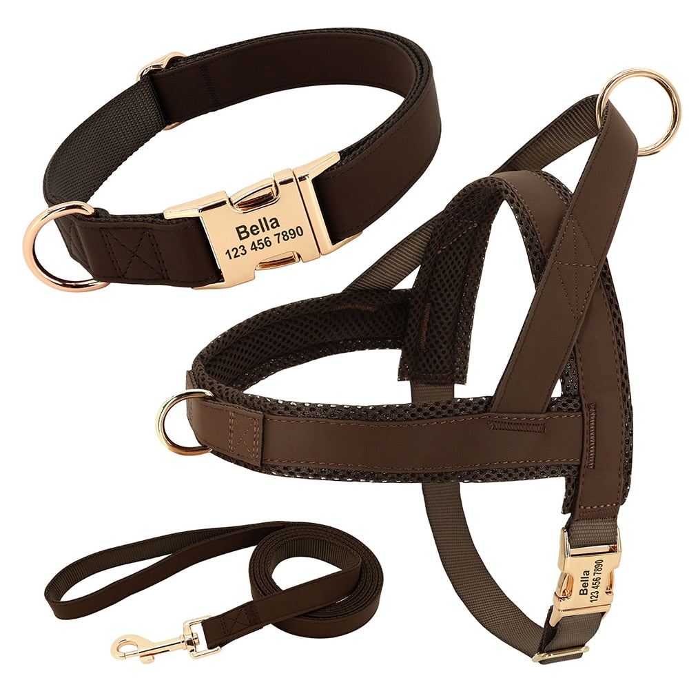 No pull harness and collar set