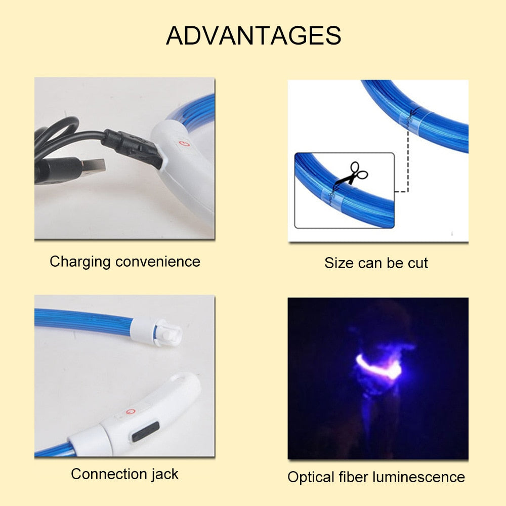 One size fits all rechargeable LED collar