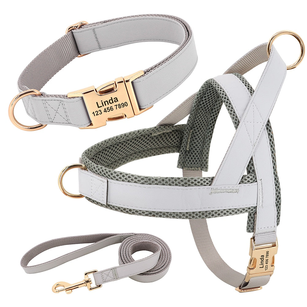 No pull harness and collar set