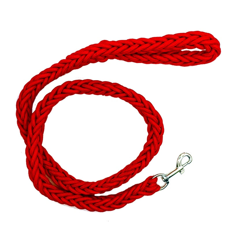 Braided Nylon Dog Leash For Medium To Large Dogs
