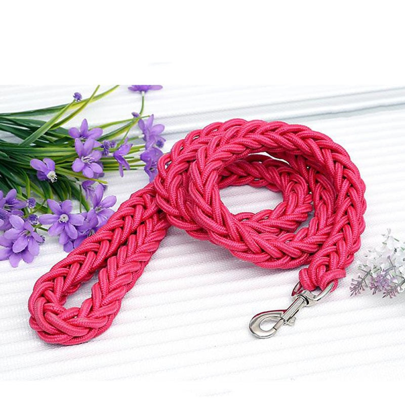 Braided Nylon Dog Leash For Medium To Large Dogs