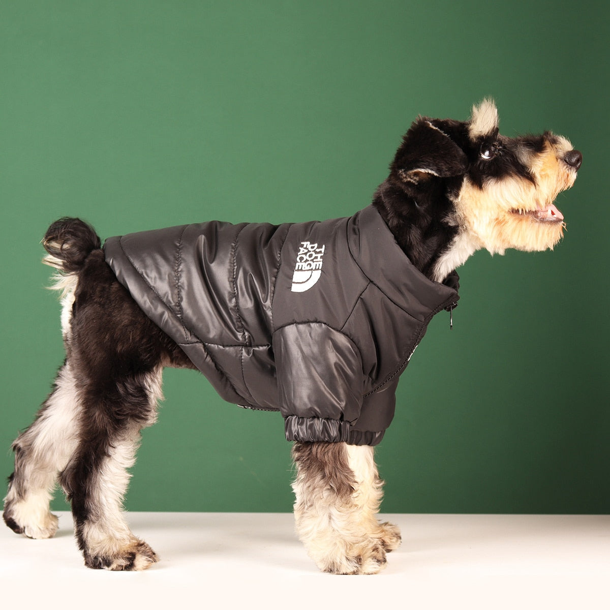 The dog face coat