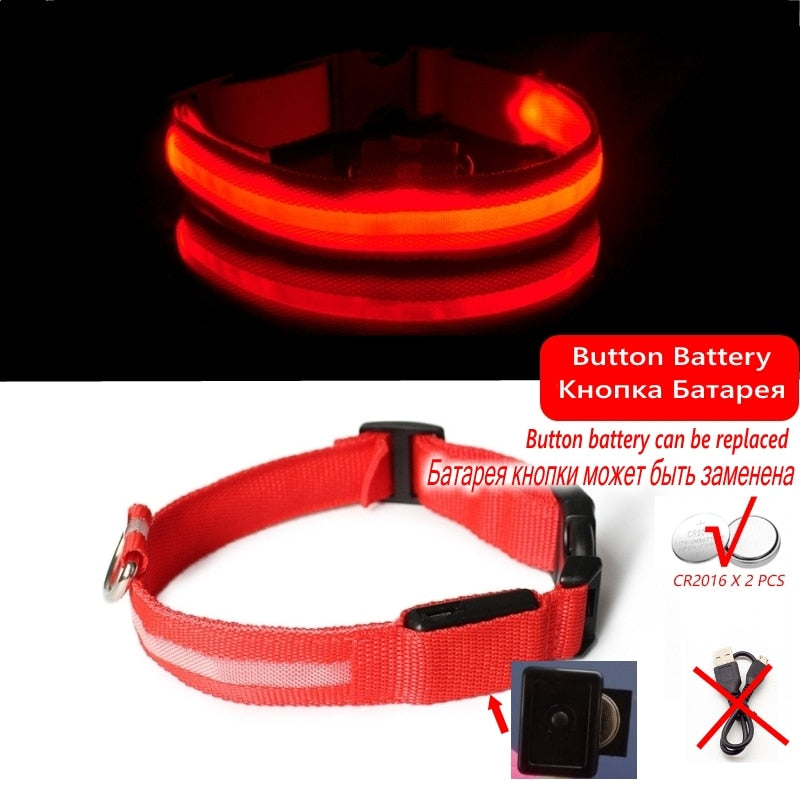 Luminous led night time collar usb rechargeable or battery operated.